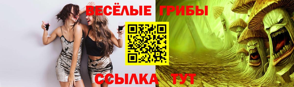 Псилоцибиновые грибы Cubensis  Вход с VPN  Орск 