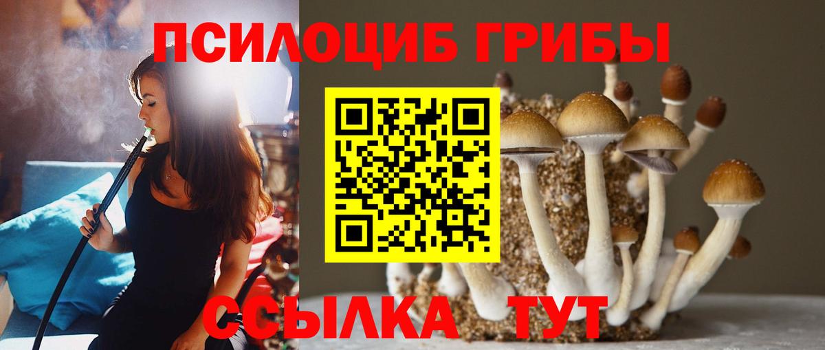 Псилоцибиновые грибы Magic Shrooms  Псилоцибиновые грибы Magic Shrooms  магазин продажи наркотиков  Орск 
