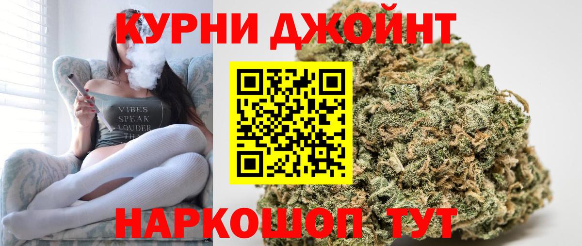 Каннабис сатива Орск